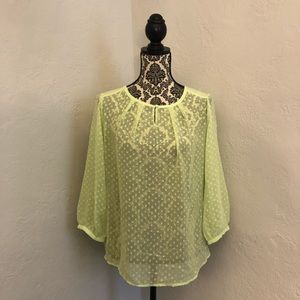 NWT | The Limited | Sheer Blouse
